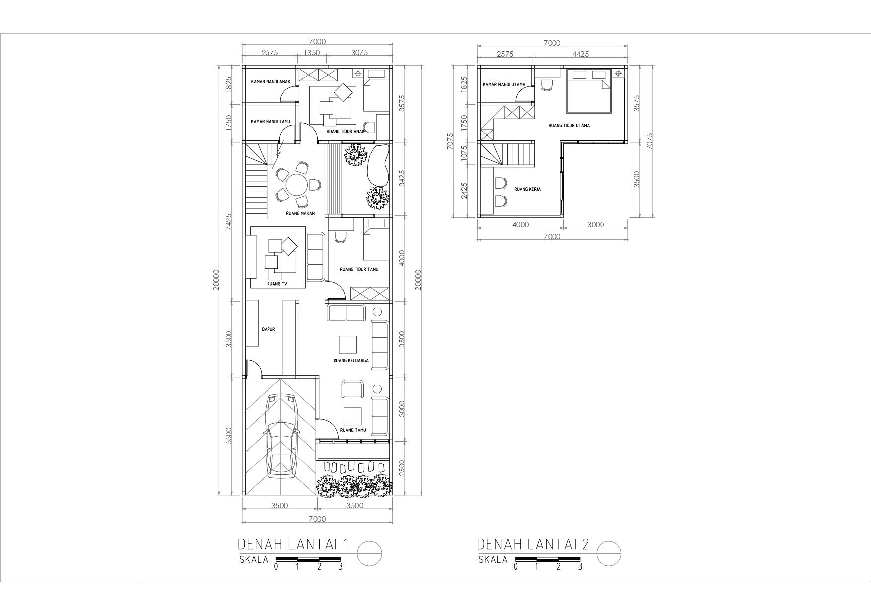 Source Image